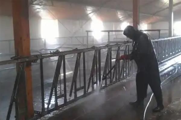 猪圈的冲洗方法，洗衣粉浸泡后再冲洗