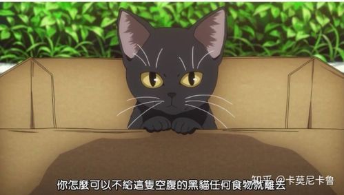 奇葩的搞怪的宠物名字二次元 又贱又逗比的宠物名字