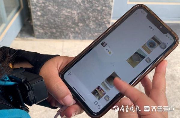 喂粮、清便、逗猫狗，济南有帮“上门宠托师”