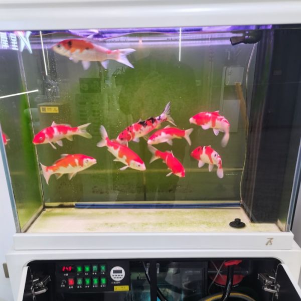 店主头像