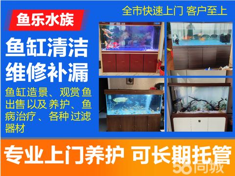 鱼乐水族鱼缸清洗·全市上门深度清洗鱼缸换水布景更换器材维修搬运卖鱼诊病