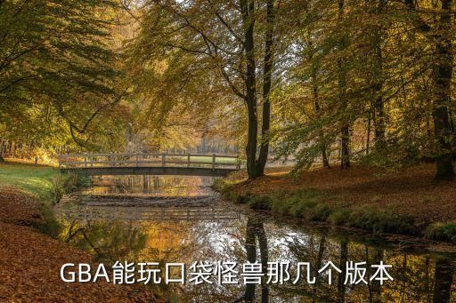 GBA能玩口袋怪兽那几个版本