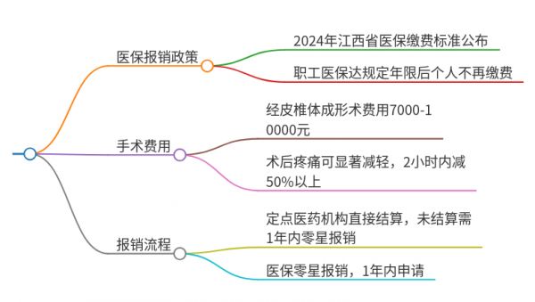 2025年江西萍乡做经皮椎体成形术能走医保吗？