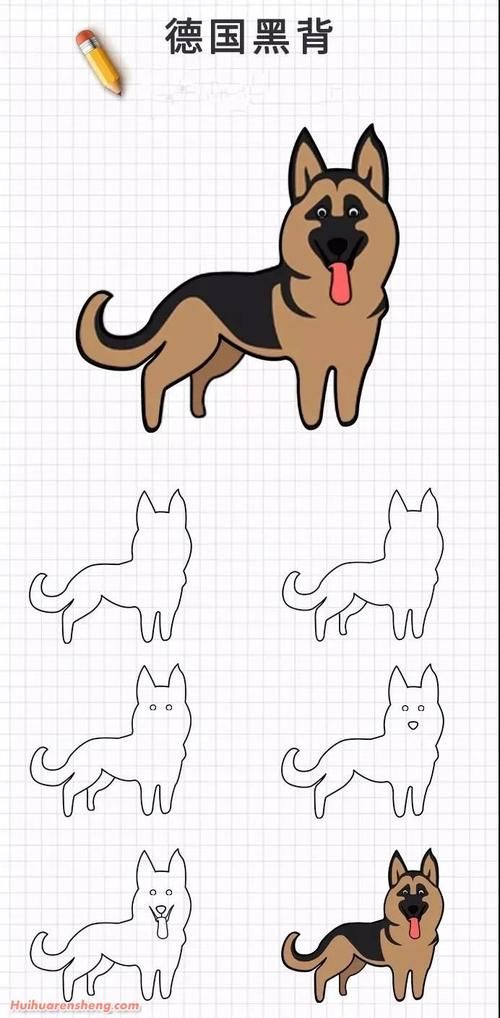 金毛柯基秋田犬20种狗狗简笔画 | 你喜欢的狗狗都有哦动物简笔画
