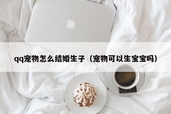 qq宠物怎么结婚生子（宠物可以生宝宝吗） qq宠物怎么结婚生子 第1张