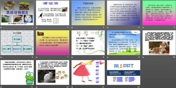 《我的动物朋友》PPT课件3