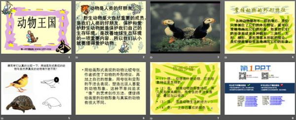 《动物王国》PPT课件