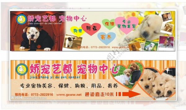 宠物店招牌图片