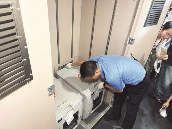 两只猫咪暂住托运箱 摄影：楚天都市报极目新闻记者潘锡珩