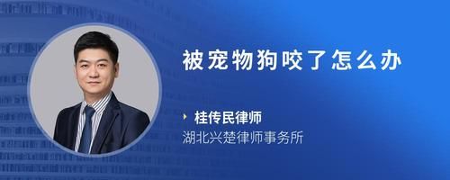 被宠物狗咬了怎么办
