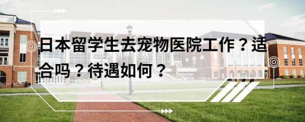 日本留学生去宠物医院工作？适合吗？待遇如何？