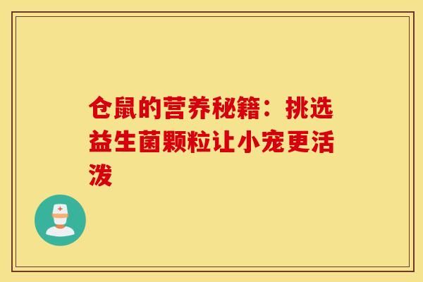 仓鼠的营养秘籍：挑选益生菌颗粒让小宠更活泼