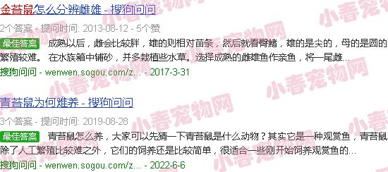 金苔鼠鱼公母图片