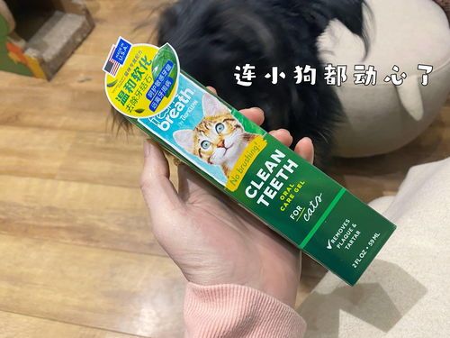 猫咪洁牙粉哪个品牌更实惠？