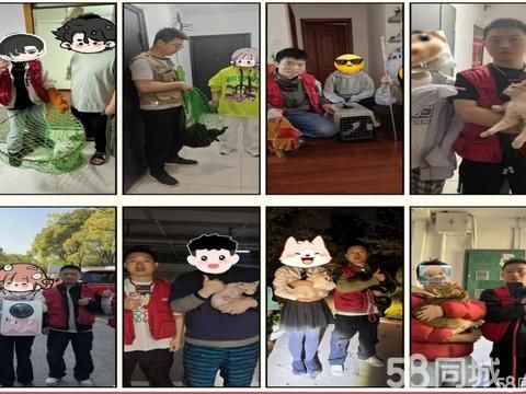 泓益修（厦门）家电·专业找猫团队，找狗团队，寻宠师，宠物丢失帮找，猫丢