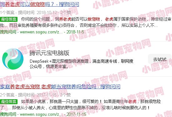 养老虎当宠物