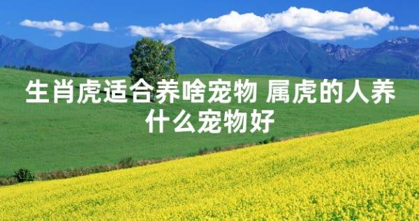 生肖虎适合养啥宠物 属虎的人养什么宠物好