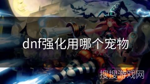 dnf强化用哪个宠物