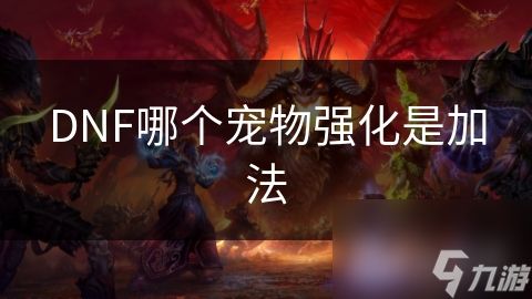 DNF哪个宠物强化是加法