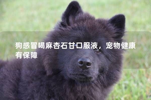 狗感冒喝麻杏石甘口服液，宠物健康有保障