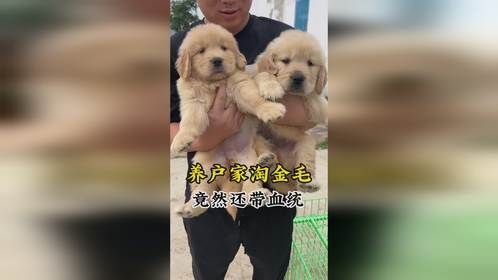 分享视频