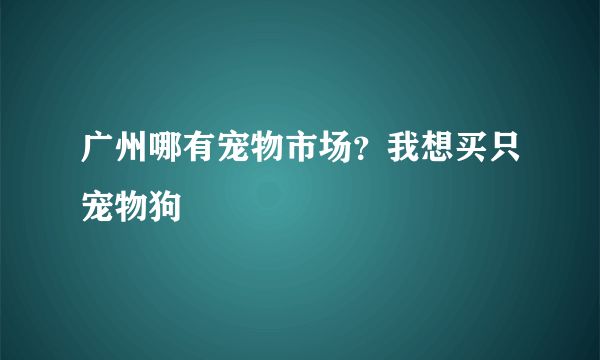 广州哪有宠物市场？我想买只宠物狗