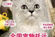 怀来单托运-运输用心服务