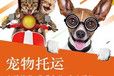 宣化托运费用-飞机托运空运、火车专车运输
