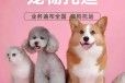 蔚县托运运输-托运运输专车接送