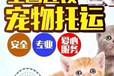 宠物托运）张家口宠物猫咪托运宠物狗托运