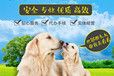 康保小猫托运-靠谱猫咪狗狗搬家运输提供安全便捷服务