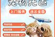 宠物托运）张家口宠物托运邮寄托运活体狗