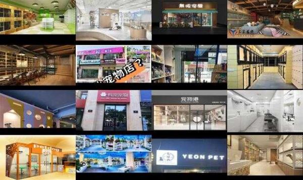 合肥另类宠物店