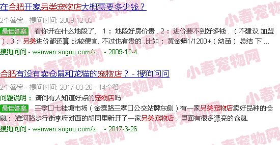 合肥另类宠物店