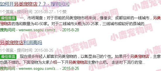 另类宠物店简介