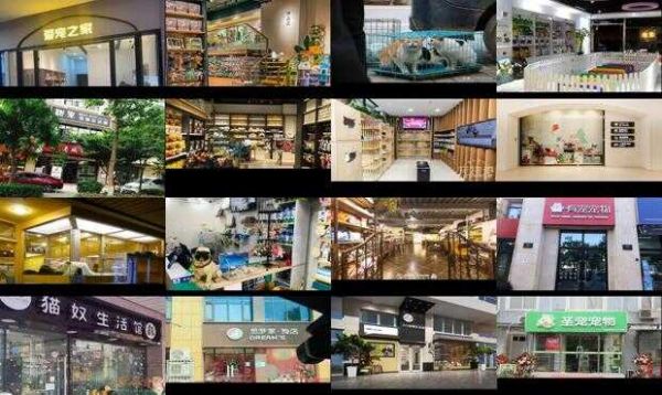 西安另类宠物店