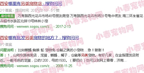 西安另类宠物店