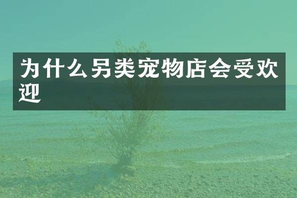 为什么另类宠物店会受欢迎