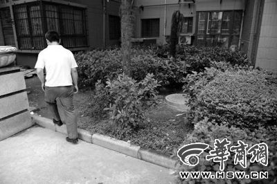 有小区住户尝试在绿化带中寻找蟒蛇 华商报记者 赵彬 摄 