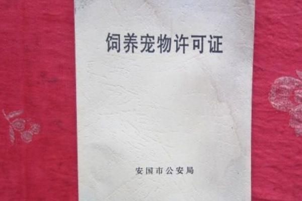 宠物猫如何办理猫证，可持身份证等相关证明前往派出所登记