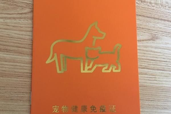 宠物猫如何办理猫证，可持身份证等相关证明前往派出所登记