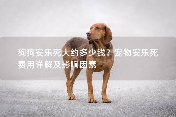 狗狗安乐死大约多少钱？宠物安乐死费用详解及影响因素