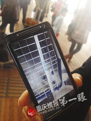 狗儿瞪大眼睛已经死亡