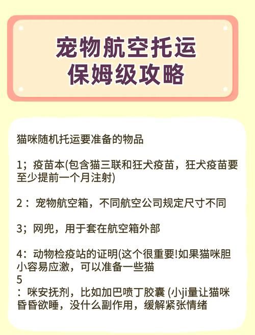 猫咪坐飞机需要什么（猫咪坐飞机注意事项）