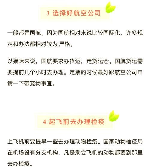 猫咪坐飞机需要什么（猫咪坐飞机注意事项）