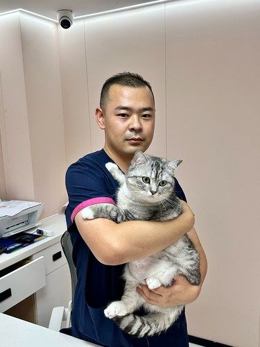 铲屎官必看！这家宠物医院真的按头安利