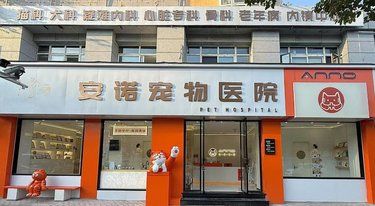 医术超赞 医心超美