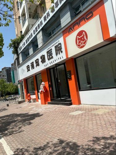 医疗环境超级给力