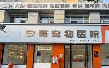 带着毛孩子体检的一天