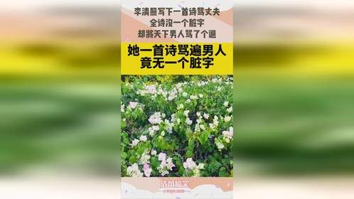 李清照写下一首诗骂丈夫，全诗没一个脏字，却将天下男人骂了个遍